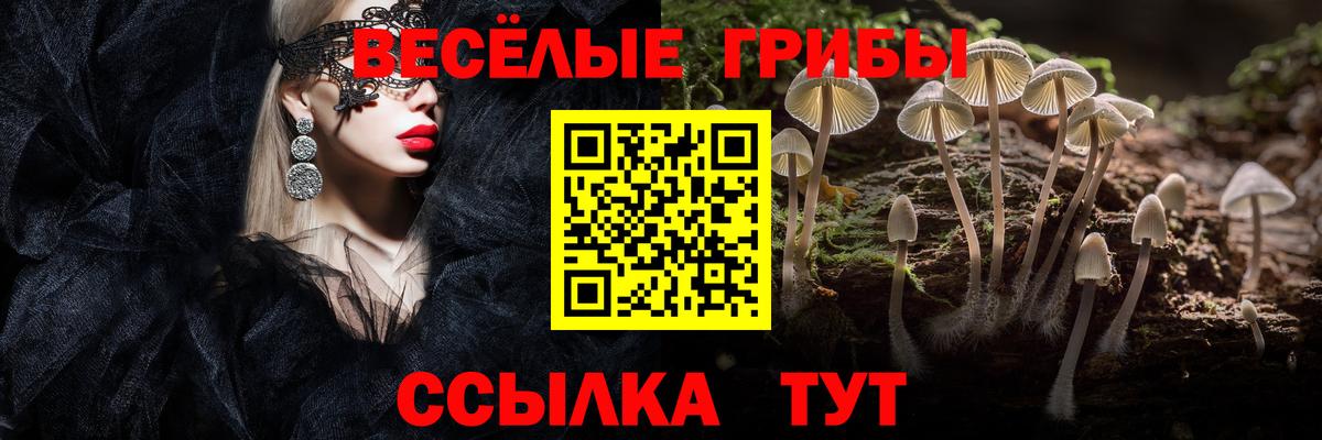 Галлюциногенные грибы прущие грибы  Вход с VPN  наркошоп  Рязань 